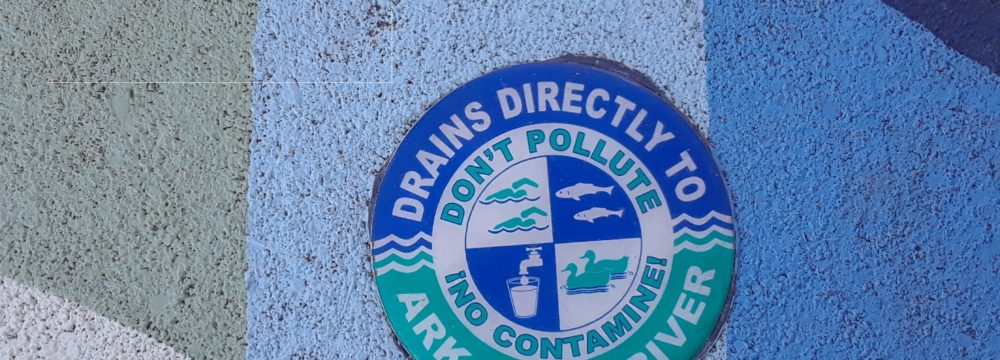 dRAINsmART medallion