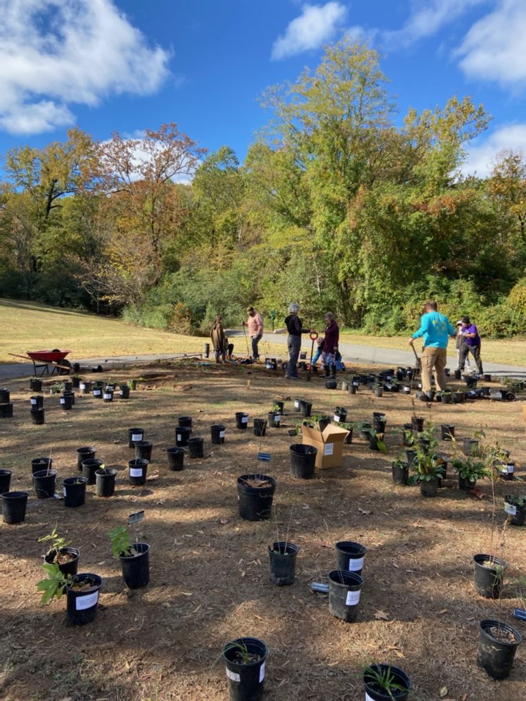 Allsopp Park Pollinator Garden